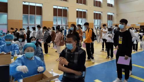 农民老张最新爆料消息,揭秘农村新动向背后的惊人真相！