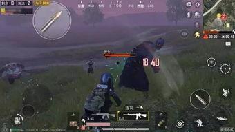 和平精英最新图片爆料,全新地图与角色，视觉盛宴即将来袭！