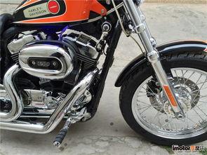 哈雷最新爆料新闻,揭秘明星私生活与娱乐圈幕后真相