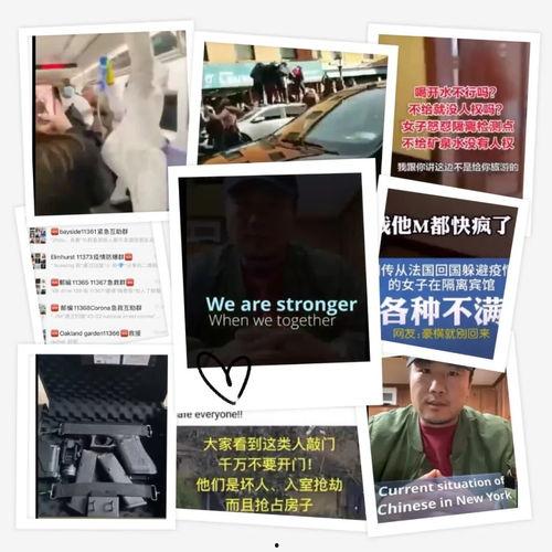 外国最新爆料网站大全视频,视频内容一网打尽