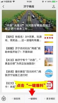 最新最官方爆料内容,重大事件背后真相全解析