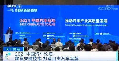 今年金秋爆料最新消息视频,年度热点视频揭秘，最新消息抢先看！