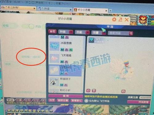 梦幻策划爆料最新消息