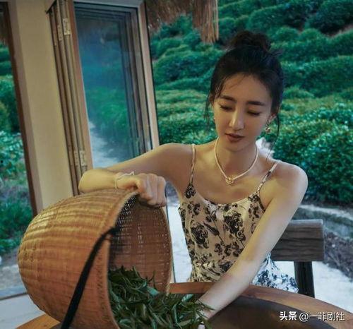 小雨爆料大瓜最新消息,娱乐圈最新大瓜揭秘，震惊众人！