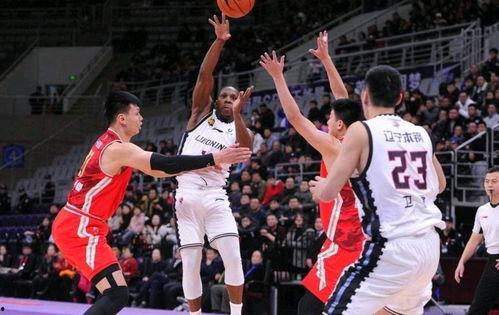 辽宁男篮最新爆料,揭秘球队备战新赛季的幕后故事